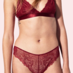Feminine Lace Hipster Women's Panty (Pack of 4)